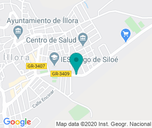Localización de Instituto Diego De Siloé