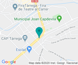 Localización de Instituto Manuel De Pedrolo