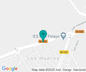 Localización de IES Don Pelayo