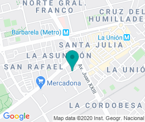 Localización de Colegio Camino De San Rafael