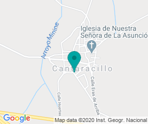 Localización de Colegio Cañada Real
