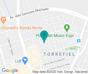 Localización de Colegio Torrefiel
