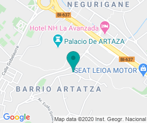 Localización de Instituto Artaza - romo