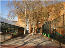 Colegio Miguel Blasco Vilatela: Colegio Público en MADRID,Infantil,Primaria,