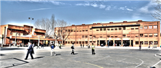 CEIP Federico Garcia Lorca: Colegio Público en VALLADOLID,Infantil,Primaria,