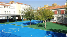 Colegio Pio XVII: Colegio Público en MADRID,Infantil,Primaria,