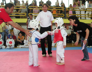 Artes marciales ante el TDHA