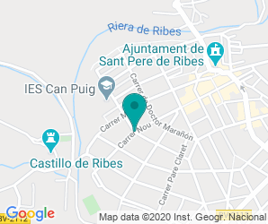 Localización de Instituto Can Puig