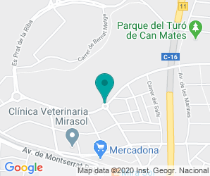 Localización de Colegio Turó De Can Mates