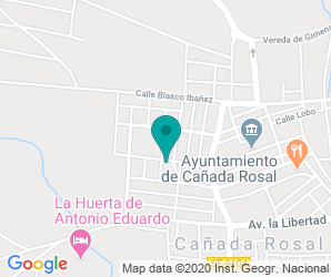 Localización de Instituto Cañada Rosal