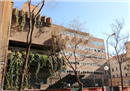 Colegio Decroly: Colegio Concertado en Madrid,Infantil,Primaria,Secundaria,Bachillerato,Laico,
