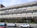 Colegio San Buenaventura: Colegio Concertado en MADRID,Infantil,Primaria,Secundaria,Bachillerato,Inglés,