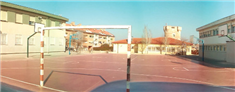 Colegio El Torreón: Colegio Público en Arroyomolinos,Infantil,Primaria,